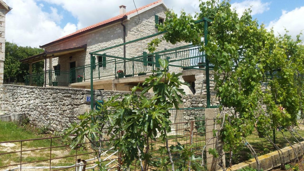 Villa Cetina - Apartment With A View Milasi Exterior photo